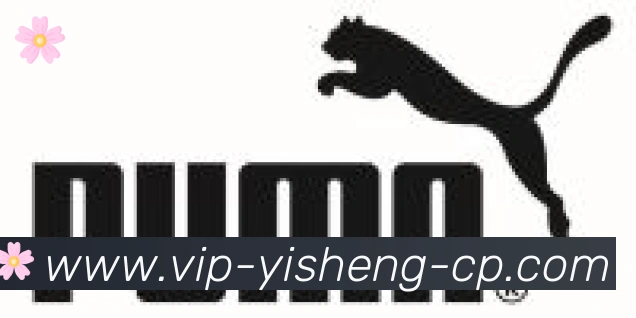 亿盛彩票平台合作伙伴